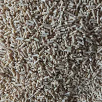 جوجه اردک اسرائیلی نزدیگ ۲۰روزه|حیوانات مزرعه|رشت, کوی امام رضا|دیوار