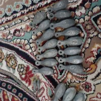 وزنه ماهی گیری