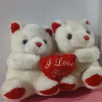 دو عروسک گوگولی