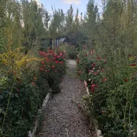 فروش ویلا باغ ۴۰۰متر /بر خیابان اصلی گلدشت/