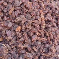 کشمش مویز انجیر ضایعات