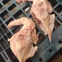 غذای سگ اسکلت کله مرغ پامرغ