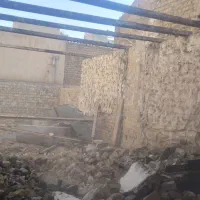 تخریب کار و کنده کاری