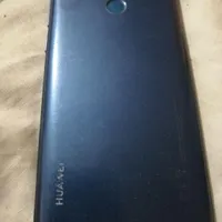 y6 2019