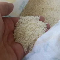 برنج خوش پخت|خوردنی و آشامیدنی|محمدشهر, محمدشهر|دیوار