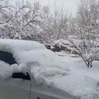 345متر زمین جدول غوره