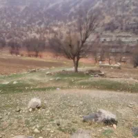 فروش زمین روستای کرتگل