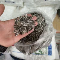 تخمه خام برای کاسبی