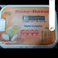 دستگاه جوجه کشی ایزی باتور 6