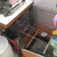 قفس بزرگ|لوازم جانبی حیوانات|نظرآباد, رسالت|دیوار