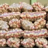 سیب‌زمینی اردبیل و همدان