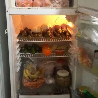 سلام یه عدد یخچال فیلور سالم در حال استفاده|یخچال و فریزر|کلاله, |دیوار