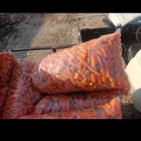 سیر درجه یک و هویچ درجه یک هویچ شکسته موجود