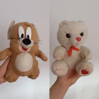 دو تا عروسک با هم 300تومن