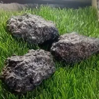 گوهر شب چراغ