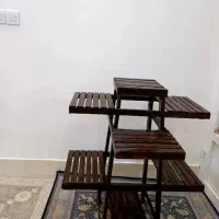 استند گلدون