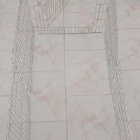 پارک سگ 6 ضلعی