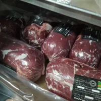 استخدام نیرو خانم در شرکت