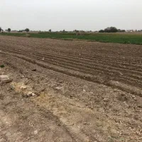 زمین زیر قیمت