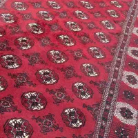 فرش دستبافت ترکمنی|فرش|بندر ترکمن, |دیوار