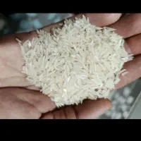 برنج فجر سوزنی 90روزه به شرط پخت|خوردنی و آشامیدنی|سنگدوین, |دیوار