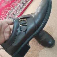 کفش شبرو نو