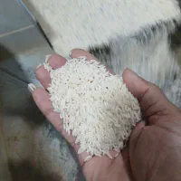 برنج هاشمی درجه یک