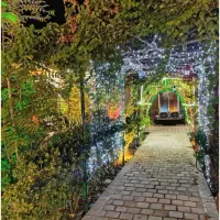 نیروی کار رستوران