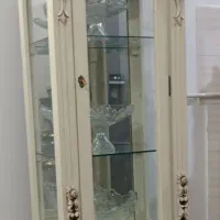 ویترین سالم