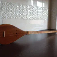 سه تار|سازهای سنتی|تهران, حکیمیه|دیوار