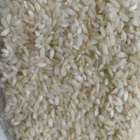 برنج درجه یک کامفیروزی|خوردنی و آشامیدنی|شیراز, کوشک میدان|دیوار
