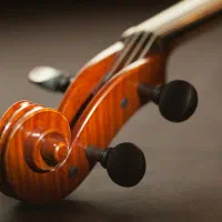 آموزش خصوصی ویولن