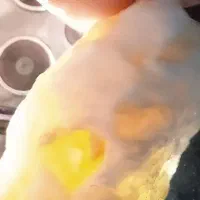 سنگهای جواهری کمیاب|جواهرات|تهران, خلیج فارس|دیوار