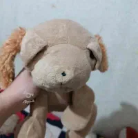 عروسک ها|اسباب‌‌بازی|محمدیه-قزوین, |دیوار