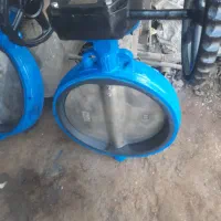 شیر پروانه ای