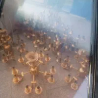 فروش و خریدار لوستر برنجی لوستر شکسته