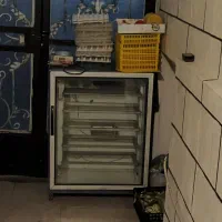 دستگاه جوجه کشی ۴۲۰تایی