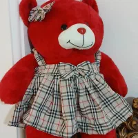 خرس یک متری