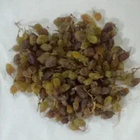 کشمش
