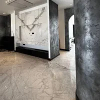 جذب نیروی پتینه