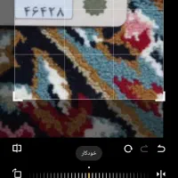 پلاک گم شده هر کس پیدا کنه زنک بزنه مژدگانی میدهم