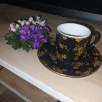 قهوه خوری ۱۲ نفره اصل امارات نونو قدمت دار