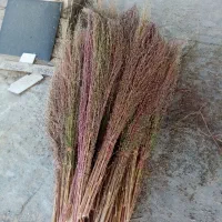 جارو درجه یک