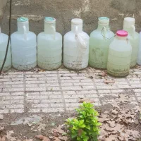 ظرف  خالی