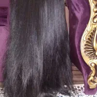 کلاه گیس(پوستیژ سینمایی)