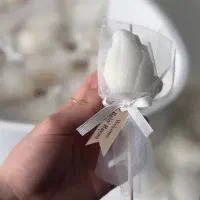 گیفت شمع ، شب چله، نامزدی|صنایع دستی و سایر لوازم تزئینی|مشهد, انقلاب|دیوار