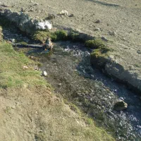 15هکتار زمین با یک حلقه چاه