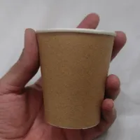 لیوان کرافت مناسب قهوه|ظروف نگهدارنده، پلاستیکی، یک‌بارمصرف|تهران, گمرک|دیوار