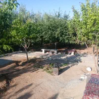 خانه باغ