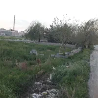 زمین-مناسب-کشاورزی-یا-بلوکه-زنی
